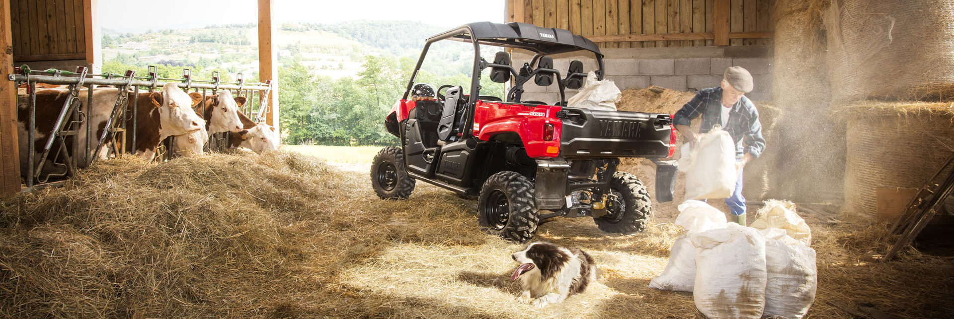 Yamaha-VIKING-700-Tarifs,dispo,accessoires,coloris